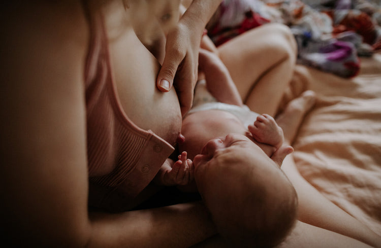 postpartum bras