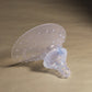 breastfeeding nipple shield